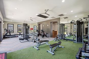Fitness center with cardio and strength training equipment